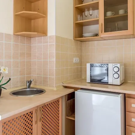 Dayflat Olimpiyska Area * Kiev